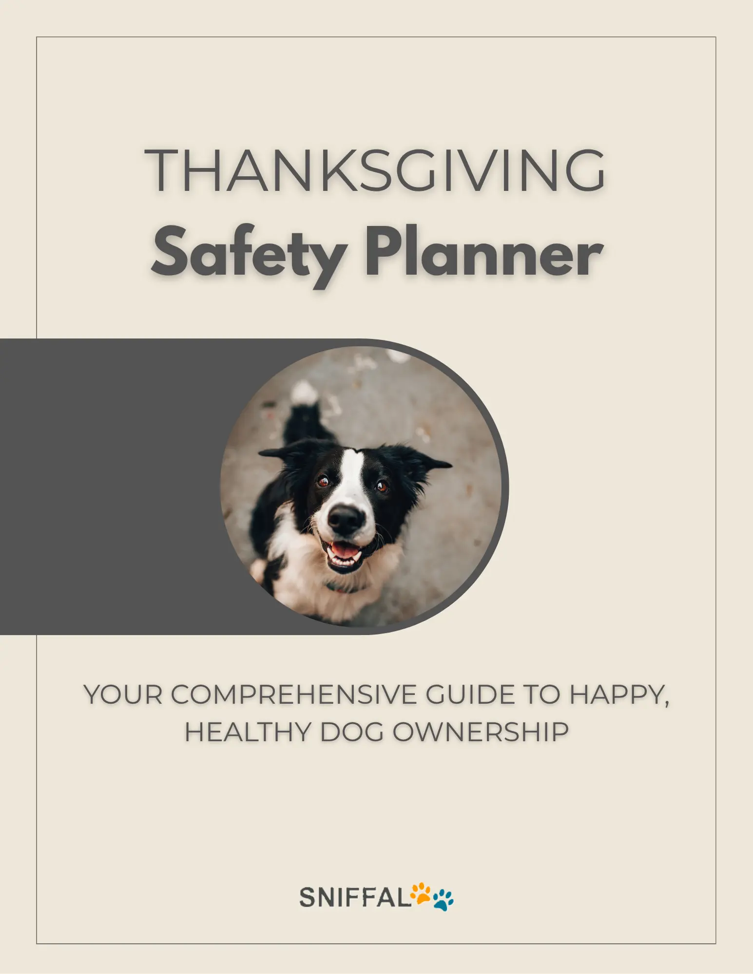 THANKSGIVING Safety Planner – article image